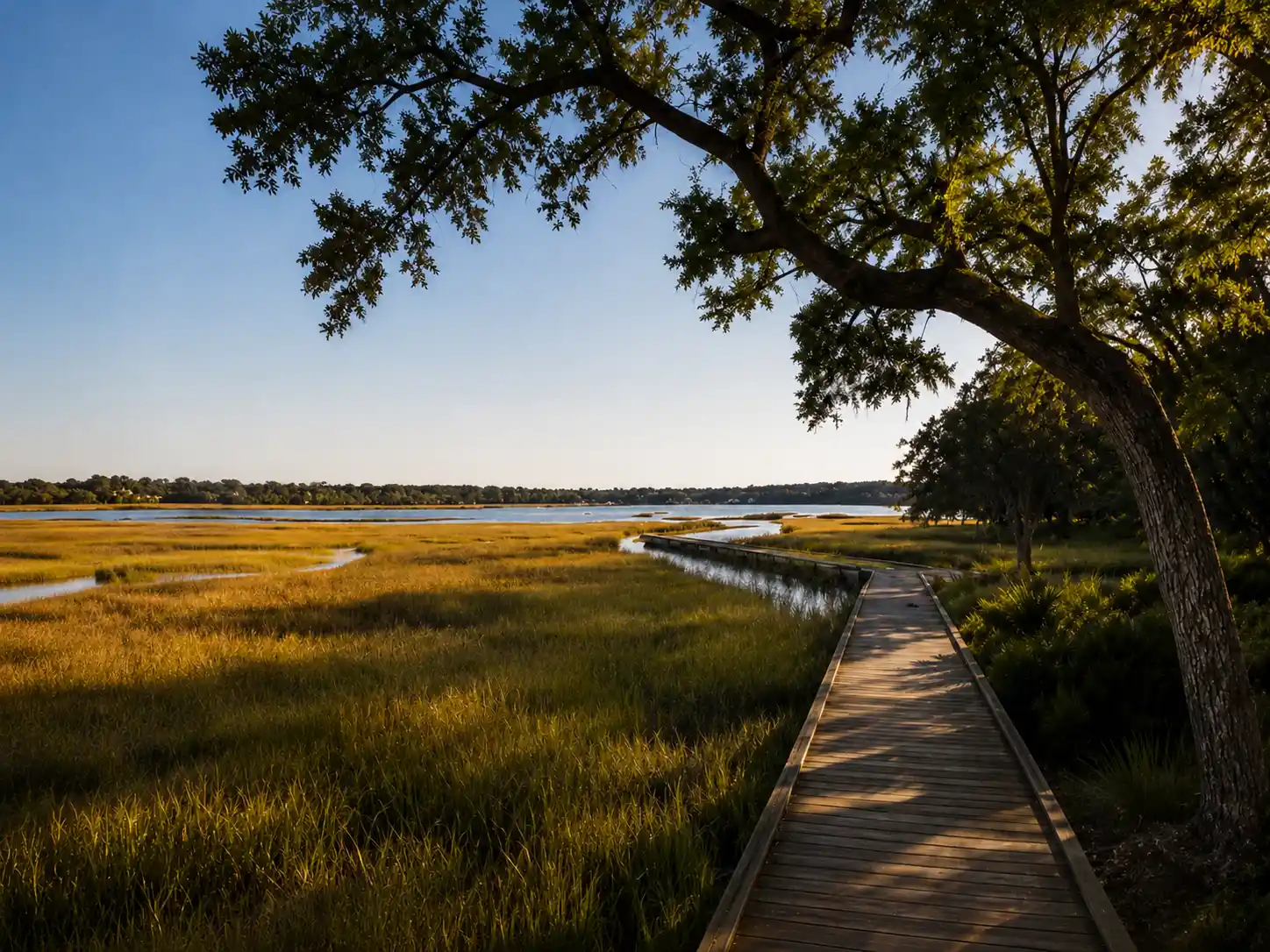 Waterfront homesite in the South Carolina Lowcountry beneath a mature live oak